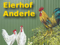 Eierhof Anderle - Täglich frische Eier - rund um die Uhr